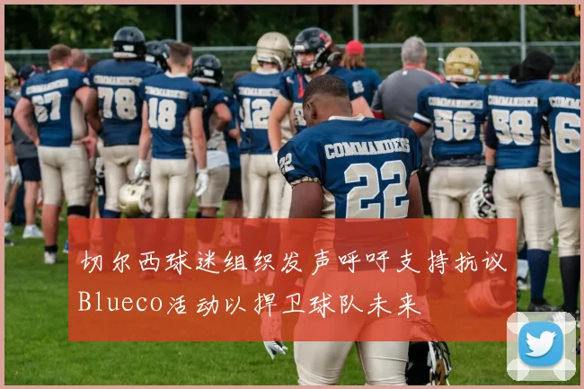 切尔西球迷组织发声呼吁支持抗议Blueco活动以捍卫球队未来