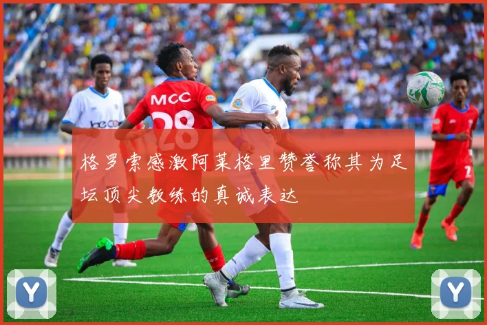 格罗索感激阿莱格里赞誉称其为足坛顶尖教练的真诚表达